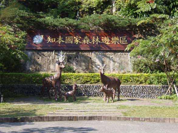 知本台湾地区森林风景图