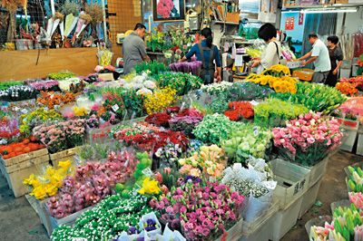 内湖花市缤纷花朵盛宴