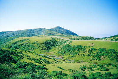 擎天岗、冷水坑草原温泉风光