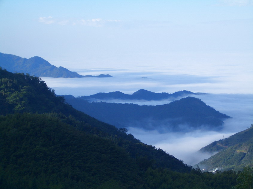 阿里山云海