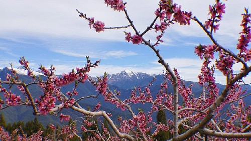 福寿山