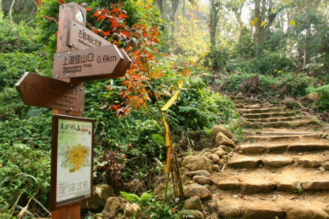 苗栗县马那邦山