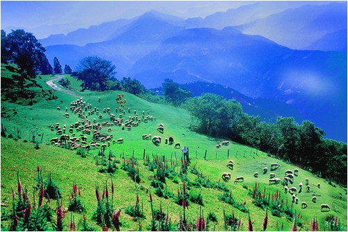 清境草原农场