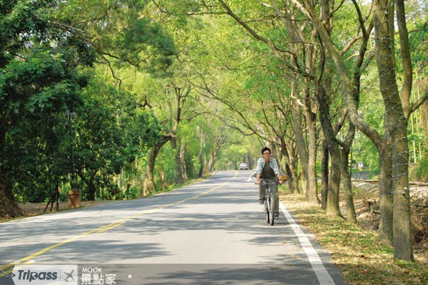 骑乘集集绿色隧道