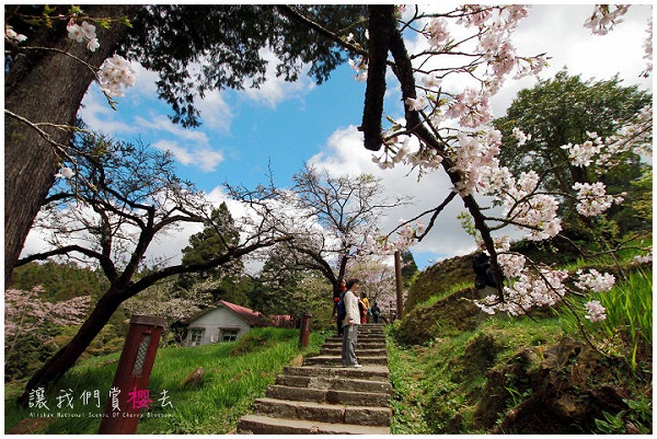 阿里山沼平公园