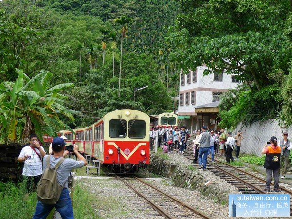 阿里山游览小火车