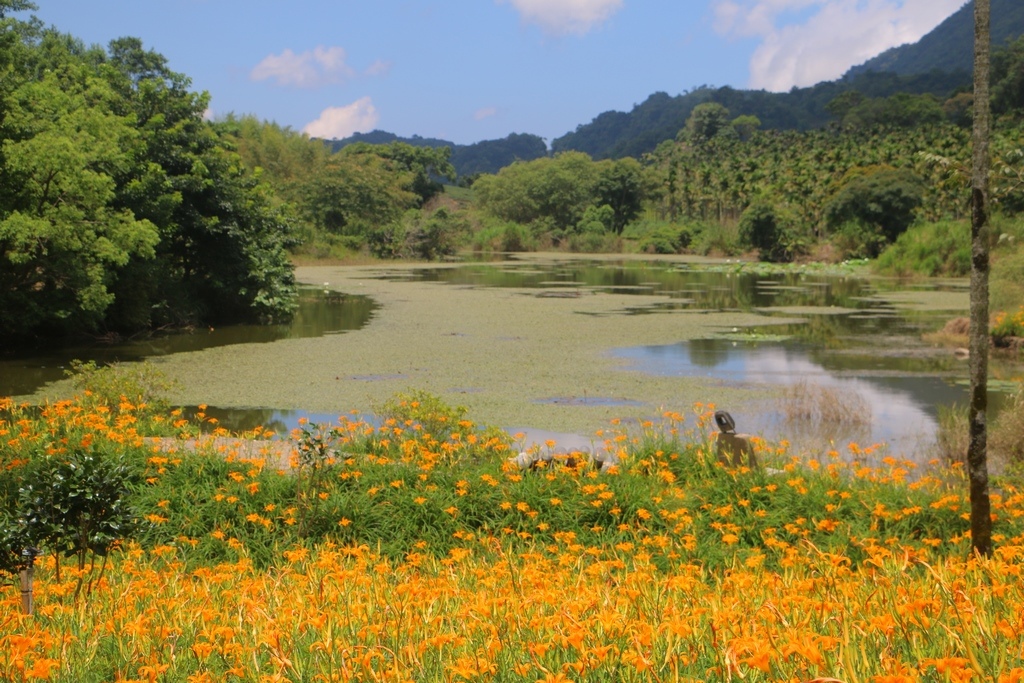 花莲竹林湖