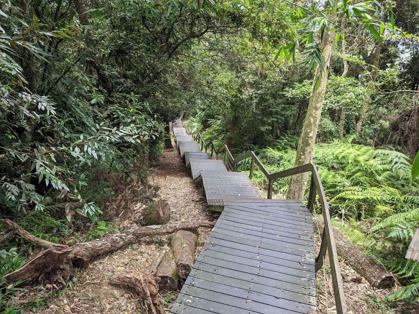 日月潭土亭仔自然步道