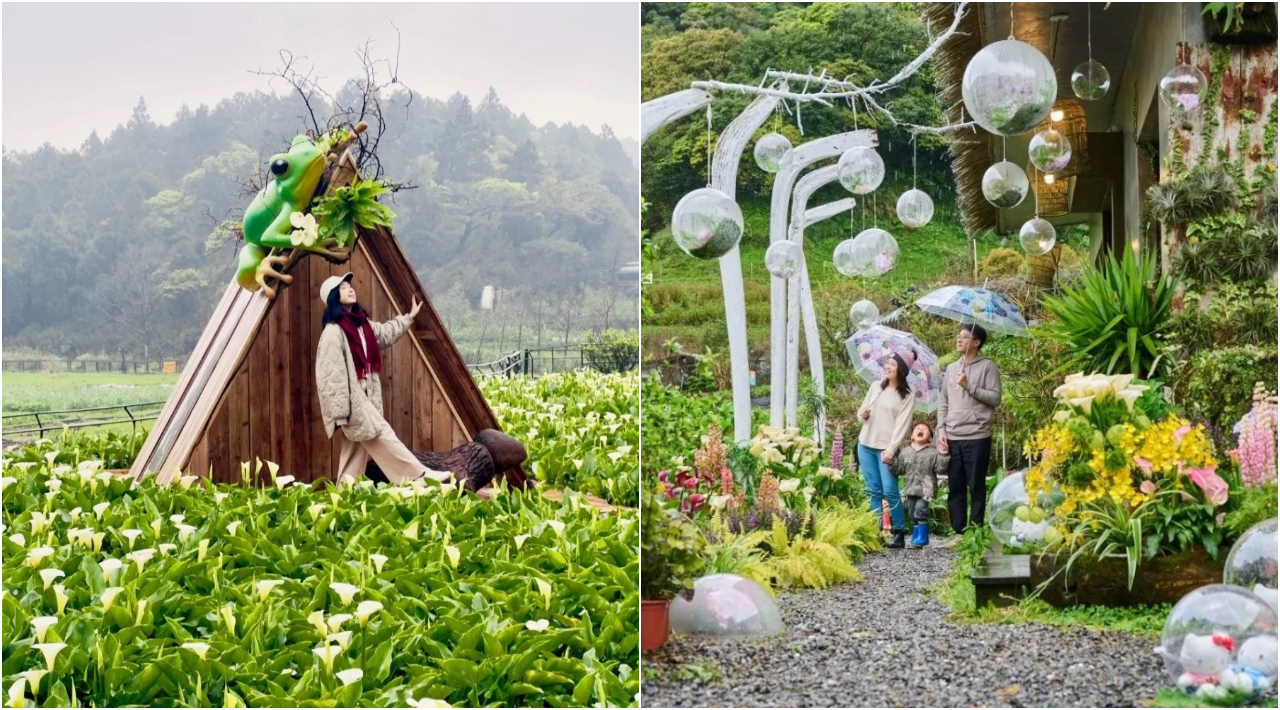 阳明山梦幻花艺