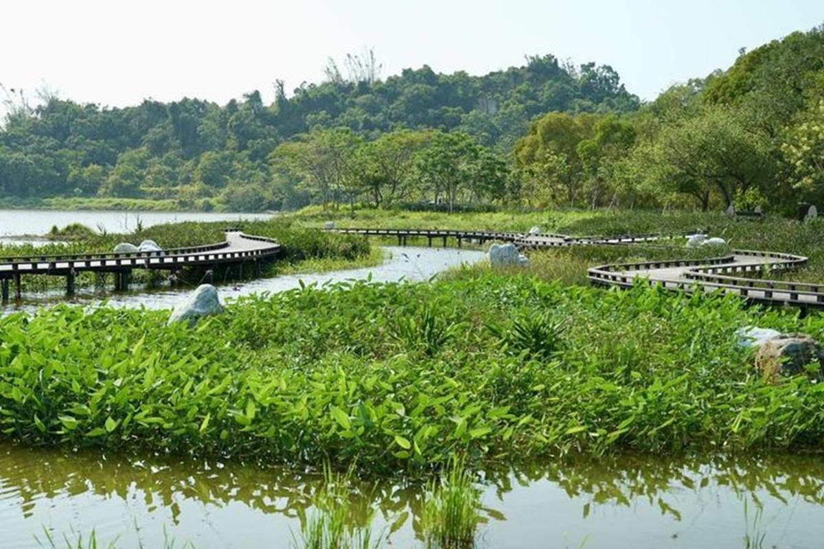 高雄观音湖升级后成为亲子旅游好去处
